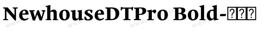 NewhouseDTPro Bold字体转换
